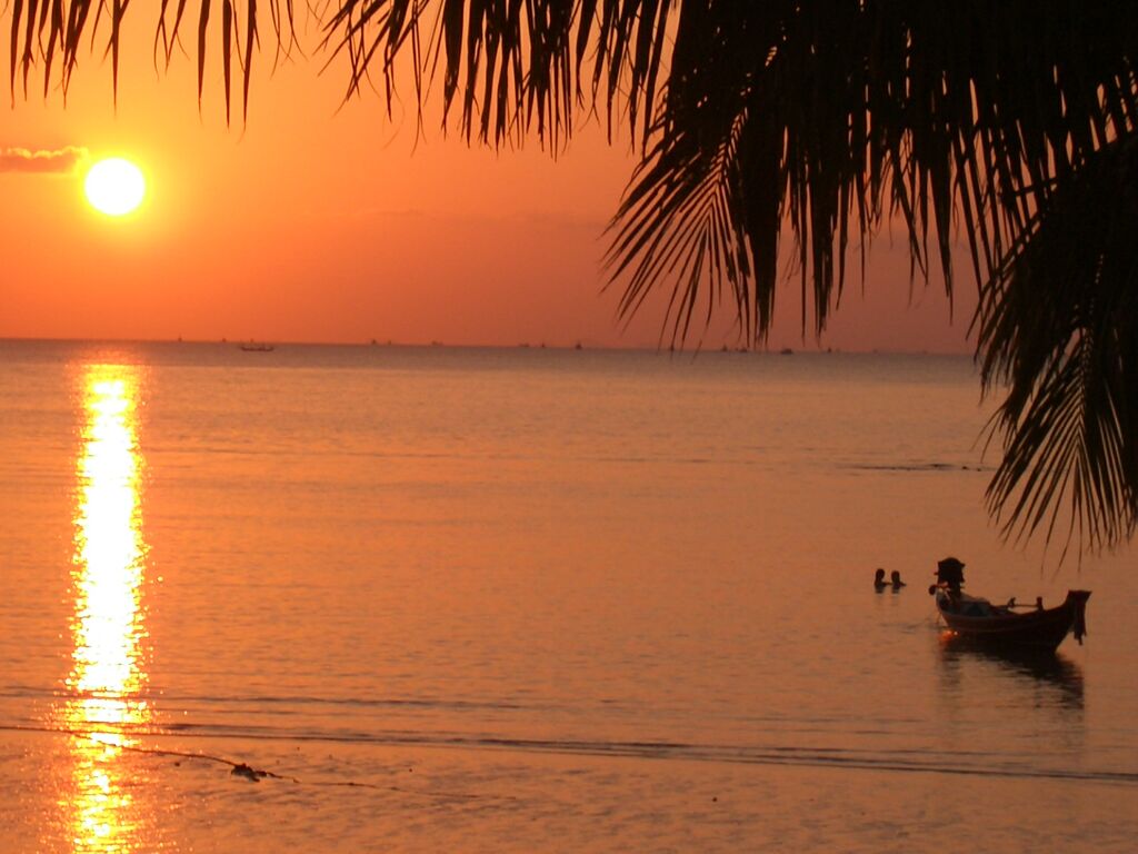 Click to See Next Image